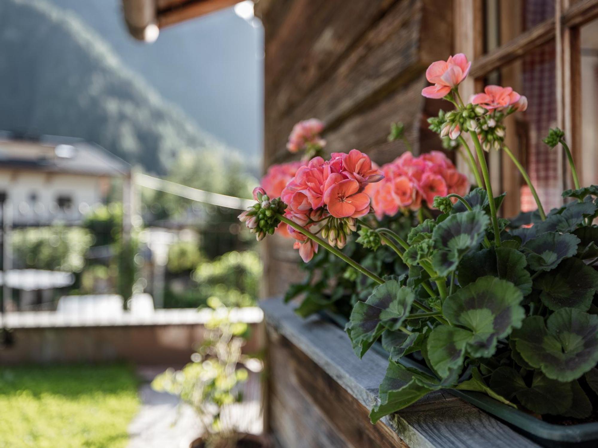 Apartamento MYALPS Mühlhof Oetz Exterior foto